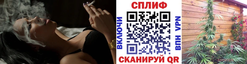 закладка  Оха  Каннабис MAZAR 